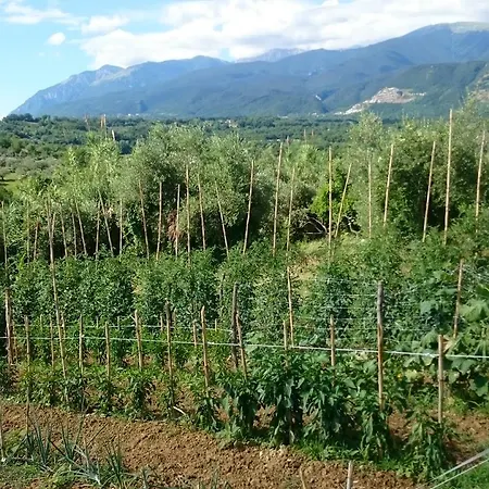 度假居 Olive Garden *